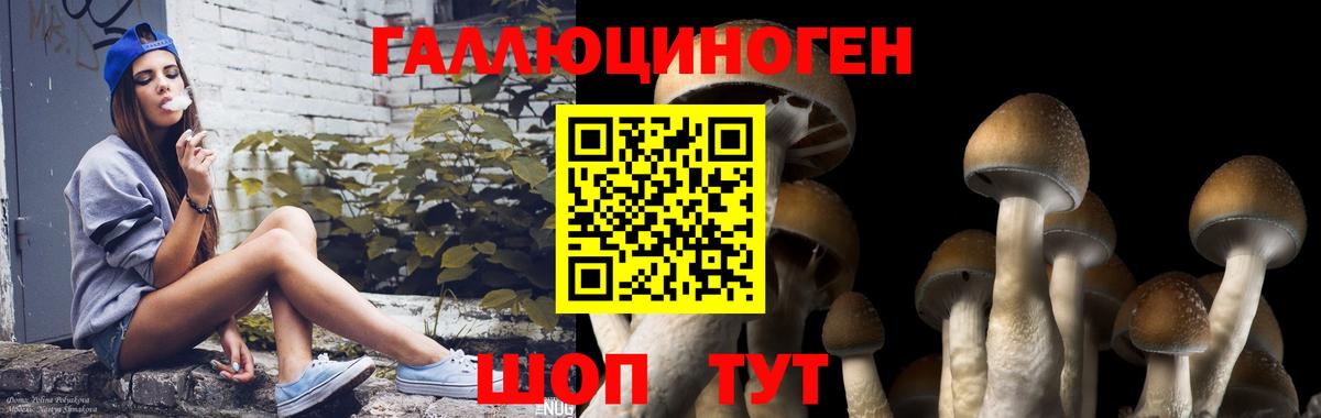 Рязань  Псилоцибиновые грибы Psilocybe  Псилоцибиновые грибы Psilocybine cubensis  цены   Вход с VPN 